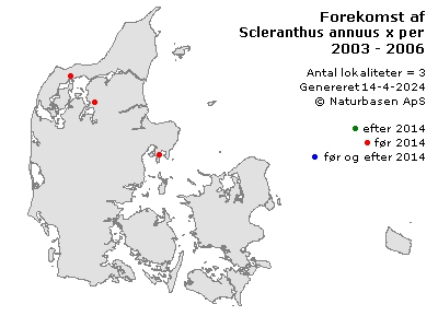 Scleranthus annuus x perennis - udbredelseskort