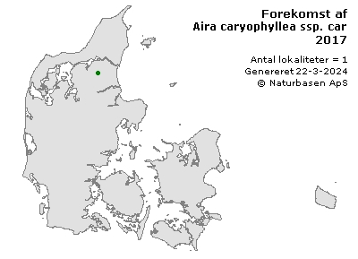 Aira caryophyllea ssp. caryophyllea - udbredelseskort