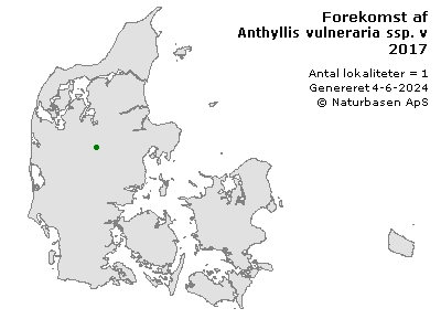 Anthyllis vulneraria ssp. vulneraria - udbredelseskort