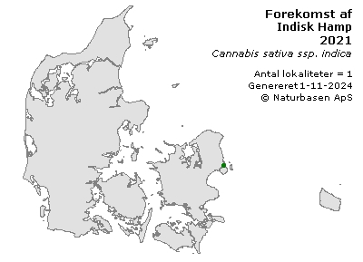 Indisk Hamp - udbredelseskort