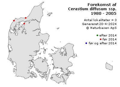 Cerastium diffusum ssp. diffusum - udbredelseskort