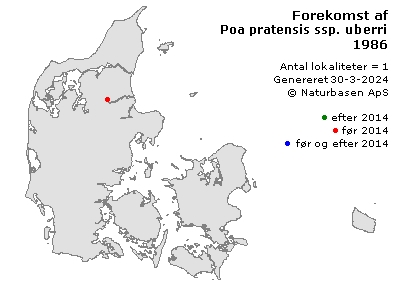 Poa pratensis ssp. uberrima - udbredelseskort