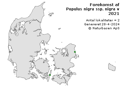 Populus nigra ssp. nigra var. plantienrensis - udbredelseskort
