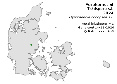 Trådspore s.l. - udbredelseskort