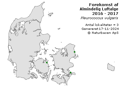 Almindelig Luftalge - udbredelseskort