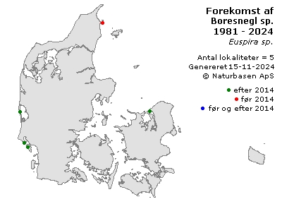 Boresnegl sp. - udbredelseskort