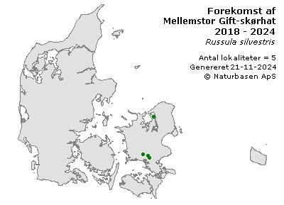 Mellemstor Gift-skørhat - udbredelseskort