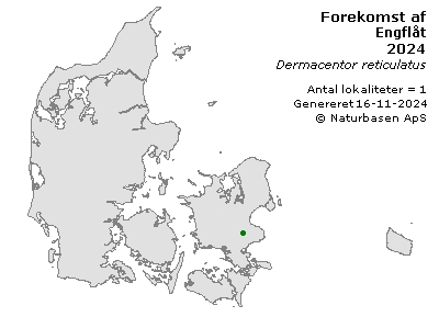 Engflåt - udbredelseskort