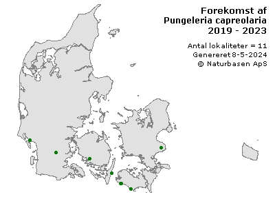Pungeleria capreolaria - udbredelseskort