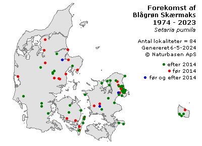 Blågrøn Skærmaks - udbredelseskort