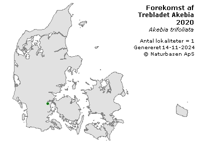 Trebladet Akebia  - udbredelseskort