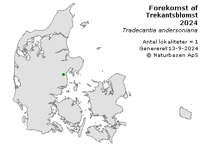 Trekantsblomst - udbredelseskort