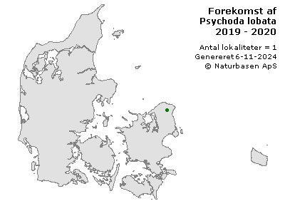 Psychoda lobata - udbredelseskort