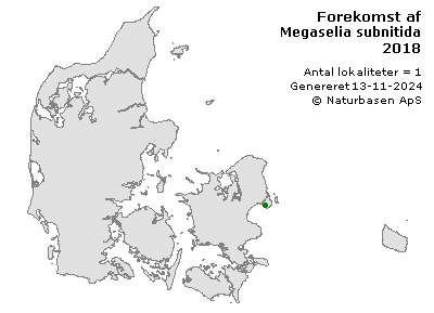 Megaselia subnitida - udbredelseskort