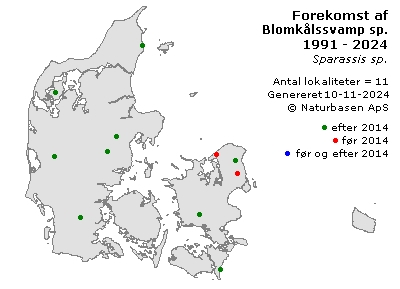 Blomkålssvamp sp. - udbredelseskort