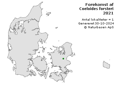 Coeloides forsteri - udbredelseskort