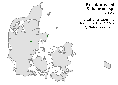 Sphaerium sp. - udbredelseskort