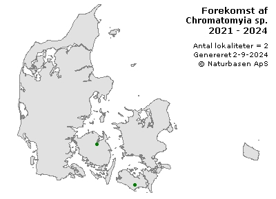 Chromatomyia sp. - udbredelseskort