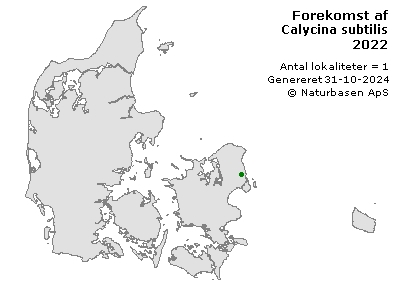 Calycina subtilis - udbredelseskort