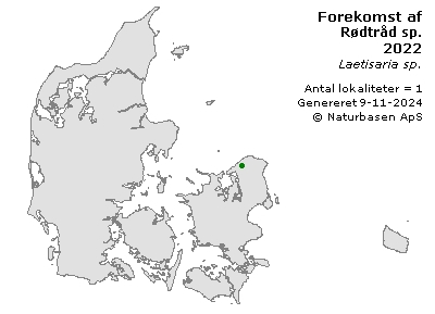 Rødtråd sp. - udbredelseskort