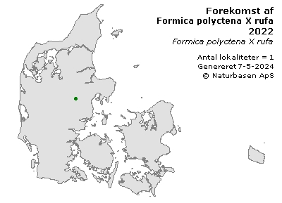 Formica polyctena X rufa (hybrid) - udbredelseskort