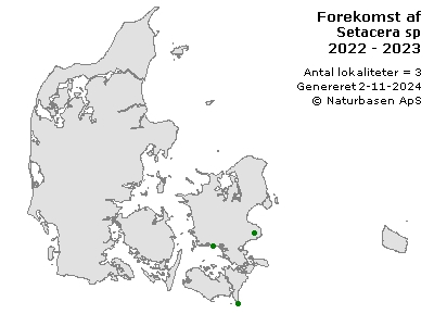 Setacera sp - udbredelseskort