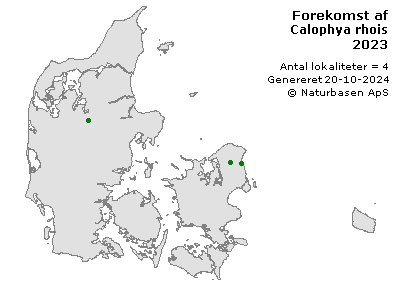 Calophya rhois - udbredelseskort