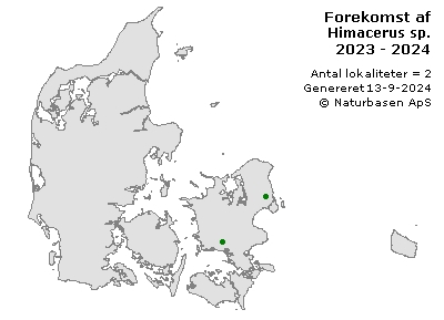 Himacerus sp. - udbredelseskort