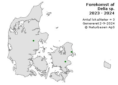 Delia sp. - udbredelseskort