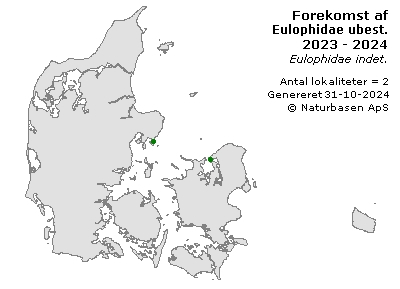 Eulophidae ubest. - udbredelseskort