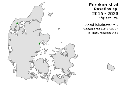 Rosetlav sp. - udbredelseskort