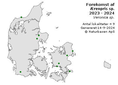 Ærenpris sp. - udbredelseskort