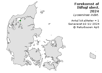 Ildfugl ubest. - udbredelseskort