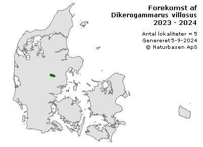 Dikerogammarus villosus - udbredelseskort