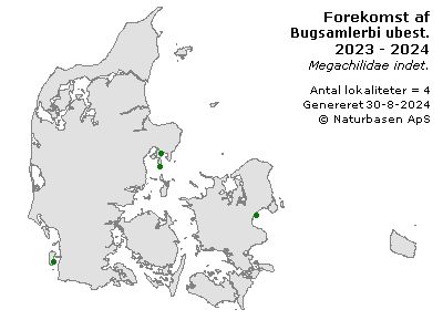 Bugsamlerbi ubest. - udbredelseskort