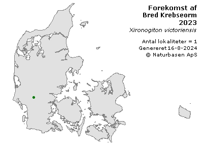 Bred Krebseorm - udbredelseskort