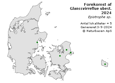 Glanssvirreflue ubest. - udbredelseskort