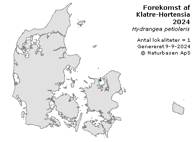 Klatre-Hortensia - udbredelseskort