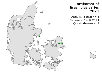 Bruchidius varius - udbredelseskort