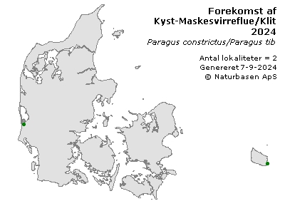 Kyst-Maskesvirreflue/Klit-Maskesvirreflue - udbredelseskort