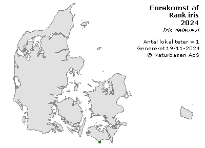 Rank iris - udbredelseskort