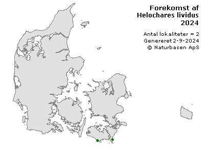 Helochares lividus - udbredelseskort