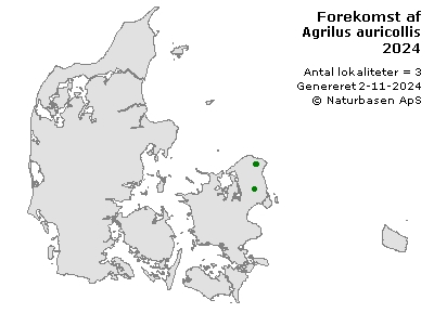 Agrilus auricollis - udbredelseskort