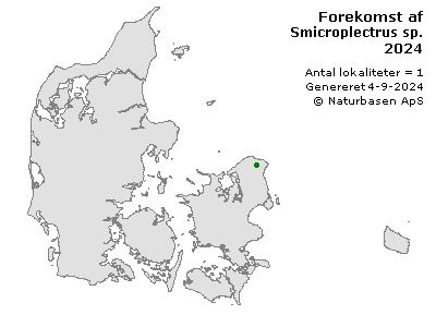 Smicroplectrus sp. - udbredelseskort