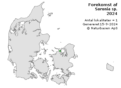 Soronia sp. - udbredelseskort