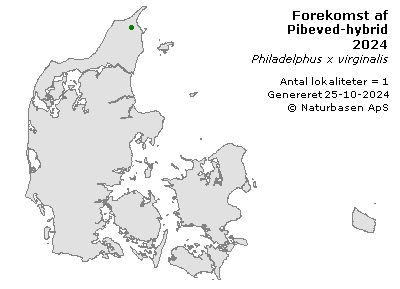 Pibeved-hybrid - udbredelseskort