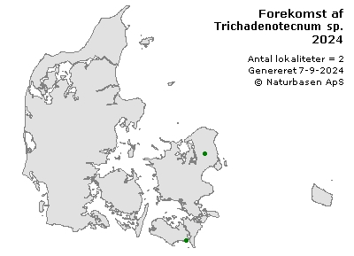 Trichadenotecnum sp. - udbredelseskort