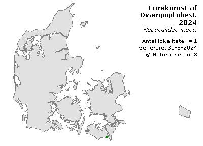 Dværgmøl ubest. - udbredelseskort