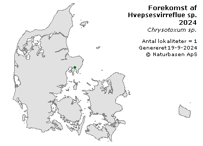 Hvepsesvirreflue sp. - udbredelseskort