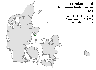 Orthizema hadrocerum - udbredelseskort